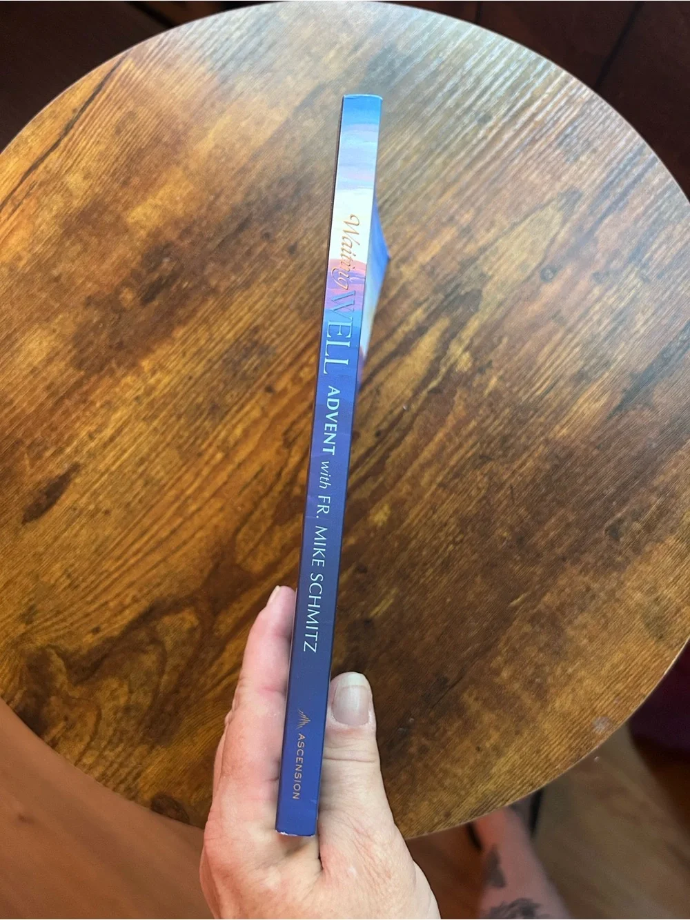 Paperback devotional journal, Waiting Well: Advent with Fr. Mike Schmitz